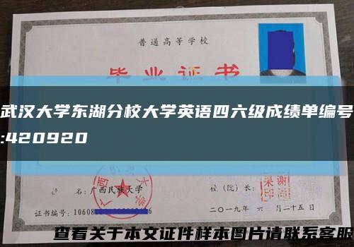 武汉大学东湖分校大学英语四六级成绩单编号:420920缩略图