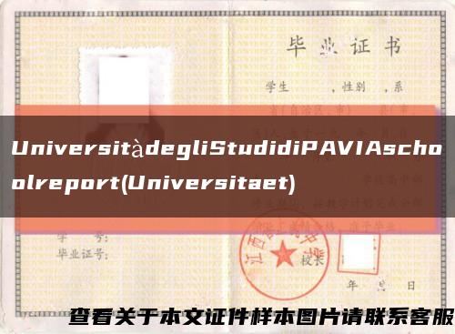 UniversitàdegliStudidiPAVIAschoolreport(Universitaet)缩略图