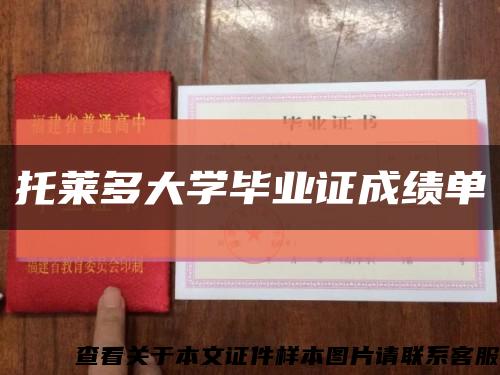 托莱多大学毕业证成绩单缩略图