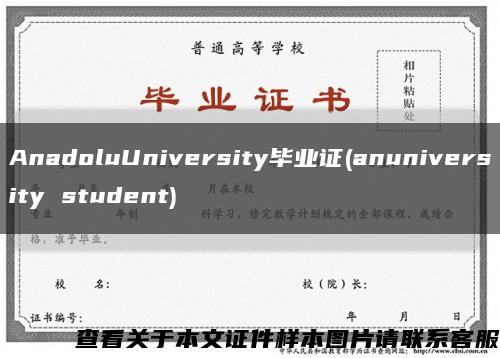 AnadoluUniversity毕业证(anuniversity student)缩略图