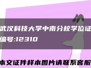 武汉科技大学中南分校学位证编号:12310缩略图