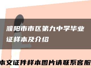 濮阳市市区第九中学毕业证样本及介绍缩略图