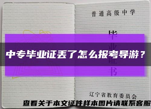中专毕业证丢了怎么报考导游？缩略图
