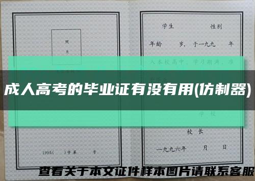 成人高考的毕业证有没有用(仿制器)缩略图