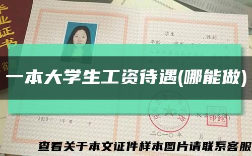 一本大学生工资待遇(哪能做)缩略图