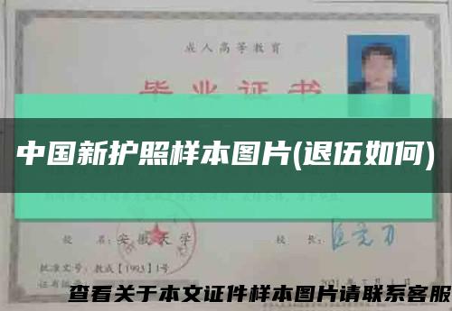 中国新护照样本图片(退伍如何)缩略图