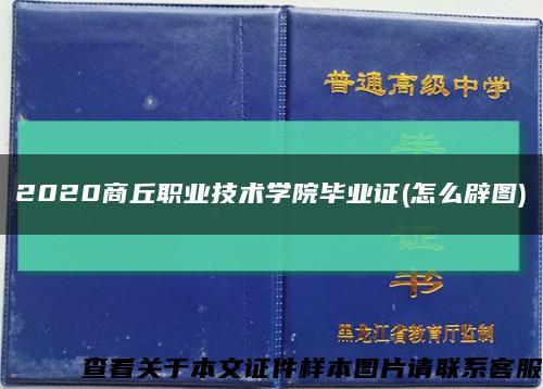 2020商丘职业技术学院毕业证(怎么辟图)缩略图