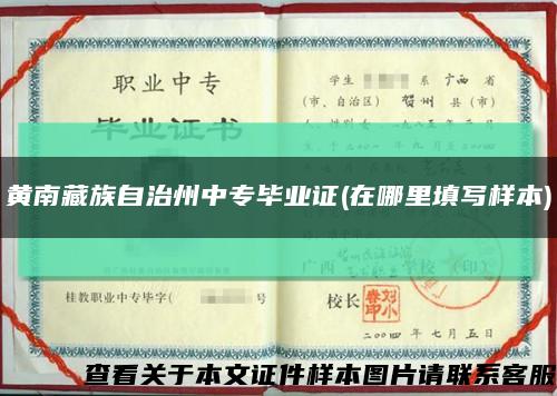黄南藏族自治州中专毕业证(在哪里填写样本)缩略图
