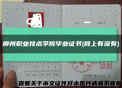 柳州职业技术学院毕业证书(网上有没有)缩略图