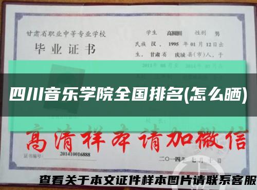 四川音乐学院全国排名(怎么晒)缩略图
