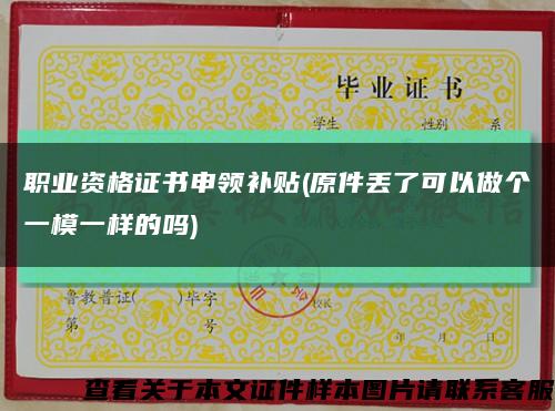 职业资格证书申领补贴(原件丢了可以做个一模一样的吗)缩略图