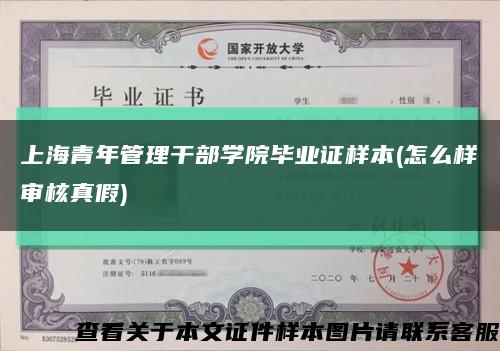 上海青年管理干部学院毕业证样本(怎么样审核真假)缩略图