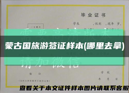 蒙古国旅游签证样本(哪里去拿)缩略图