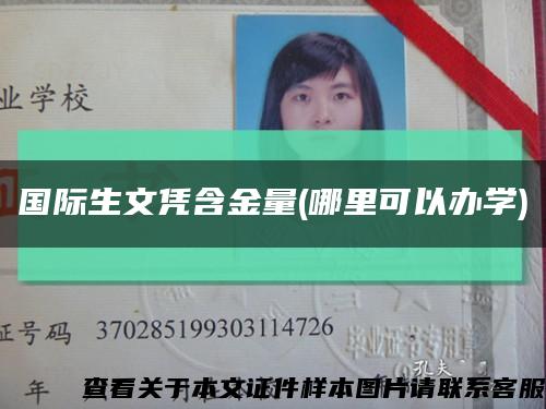 国际生文凭含金量(哪里可以办学)缩略图