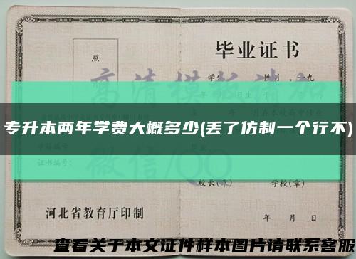 专升本两年学费大概多少(丢了仿制一个行不)缩略图