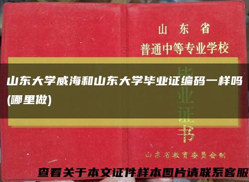 山东大学威海和山东大学毕业证编码一样吗(哪里做)缩略图