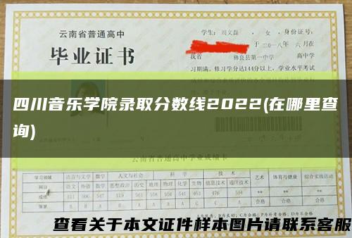 四川音乐学院录取分数线2022(在哪里查询)缩略图