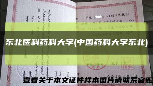 东北医科药科大学(中国药科大学东北)缩略图