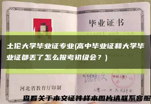 土伦大学毕业证专业(高中毕业证和大学毕业证都丢了怎么报考初级会？)缩略图