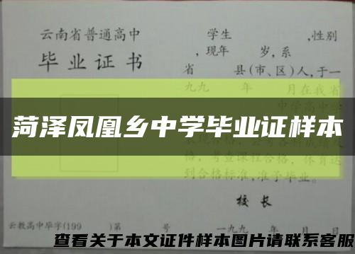 菏泽凤凰乡中学毕业证样本缩略图