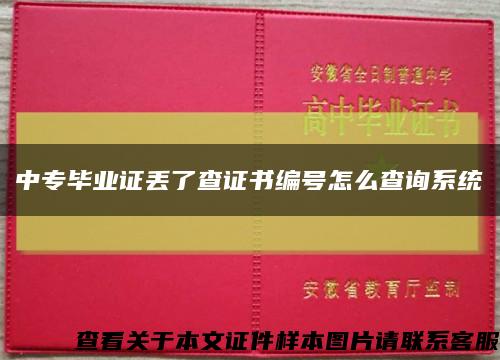 中专毕业证丢了查证书编号怎么查询系统缩略图