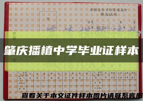 肇庆播植中学毕业证样本缩略图