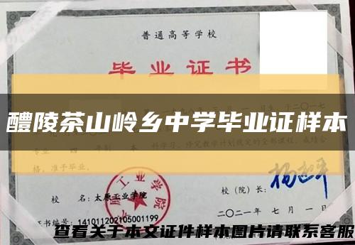 醴陵茶山岭乡中学毕业证样本缩略图