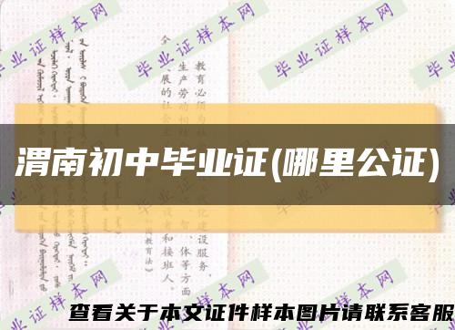 渭南初中毕业证(哪里公证)缩略图