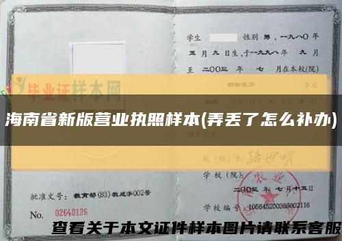 海南省新版营业执照样本(弄丢了怎么补办)缩略图