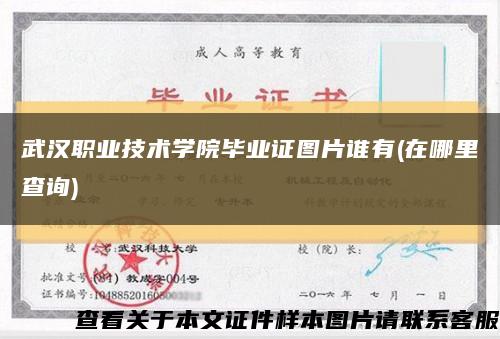 武汉职业技术学院毕业证图片谁有(在哪里查询)缩略图