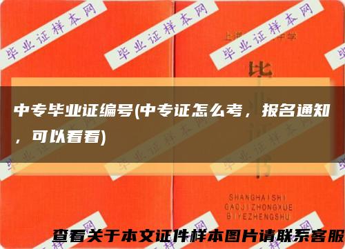 中专毕业证编号(中专证怎么考，报名通知，可以看看)缩略图
