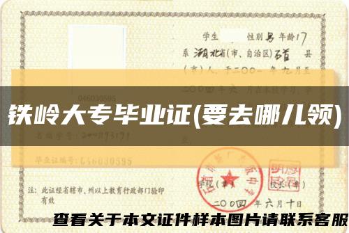 铁岭大专毕业证(要去哪儿领)缩略图