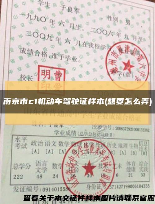 南京市c1机动车驾驶证样本(想要怎么弄)缩略图