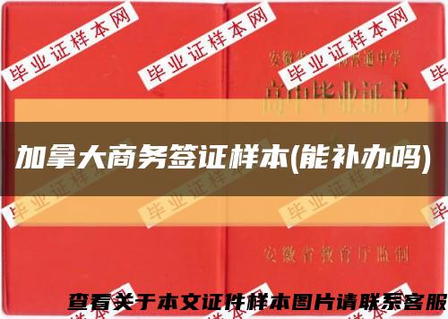 加拿大商务签证样本(能补办吗)缩略图
