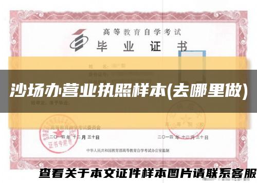 沙场办营业执照样本(去哪里做)缩略图