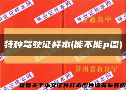 特种驾驶证样本(能不能p图)缩略图