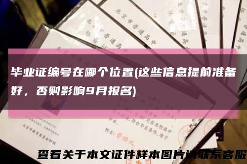 毕业证编号在哪个位置(这些信息提前准备好，否则影响9月报名)缩略图