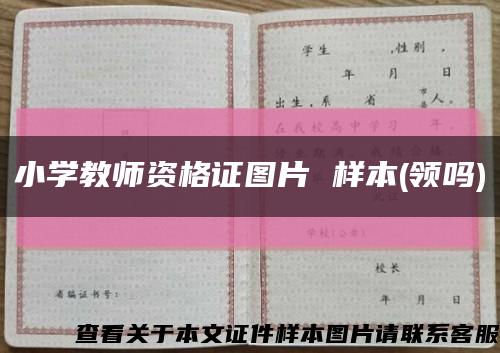 小学教师资格证图片 样本(领吗)缩略图