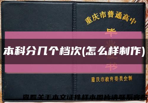 本科分几个档次(怎么样制作)缩略图