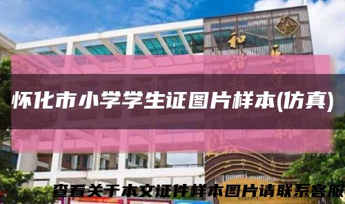 怀化市小学学生证图片样本(仿真)缩略图