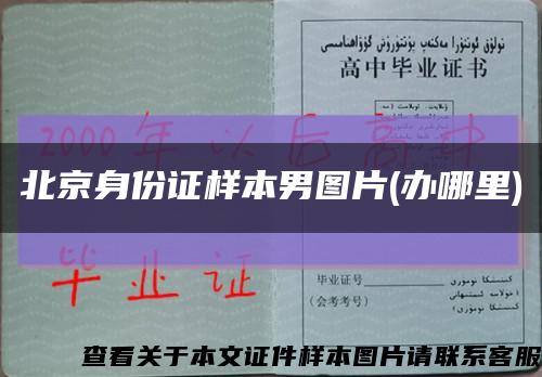 北京身份证样本男图片(办哪里)缩略图