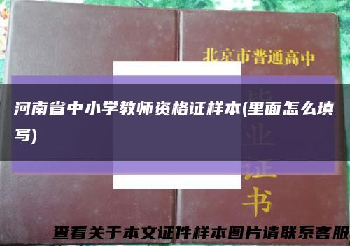 河南省中小学教师资格证样本(里面怎么填写)缩略图