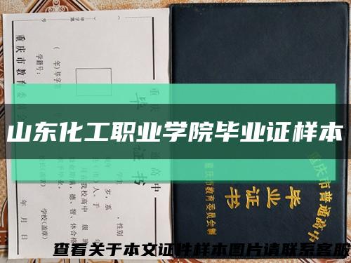 山东化工职业学院毕业证样本缩略图