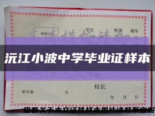 沅江小波中学毕业证样本缩略图