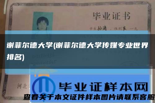 谢菲尔德大学(谢菲尔德大学传媒专业世界排名)缩略图