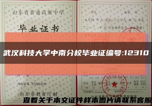 武汉科技大学中南分校毕业证编号:12310缩略图