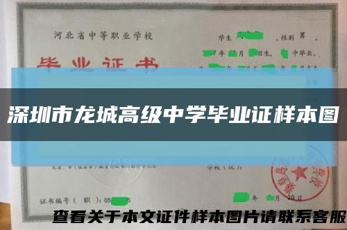 深圳市龙城高级中学毕业证样本图缩略图