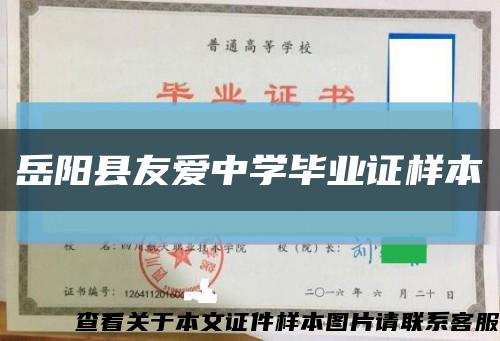 岳阳县友爱中学毕业证样本缩略图