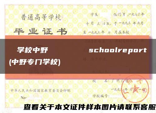 専門学校中野スクールオブビジネスschoolreport(中野专门学校)缩略图