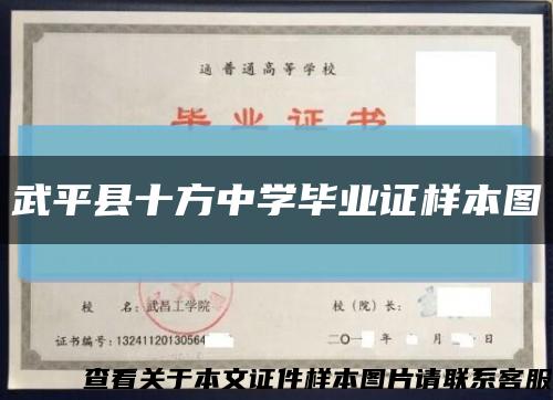 武平县十方中学毕业证样本图缩略图